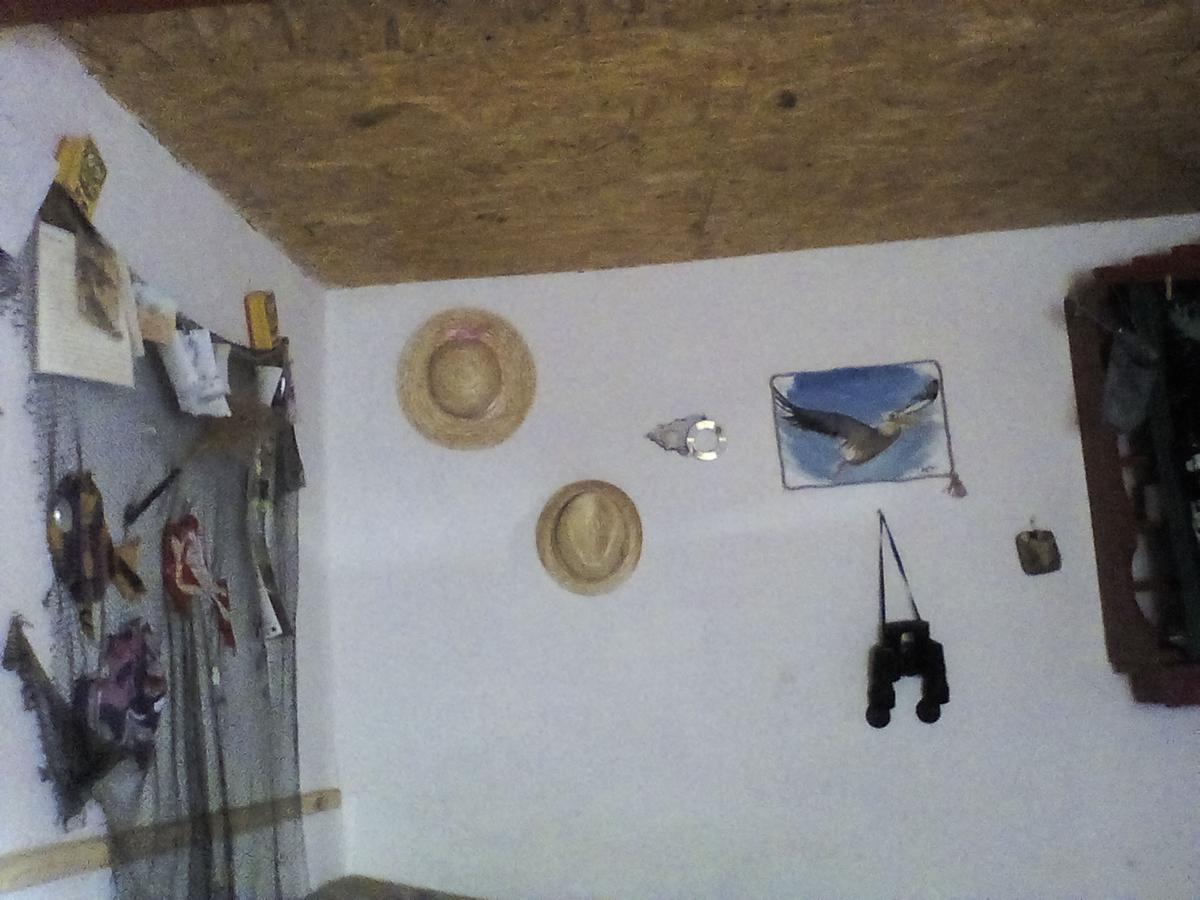 Casa Delta 106 Ξενοδοχείο Σφίντου Γκεόργκε Εξωτερικό φωτογραφία
